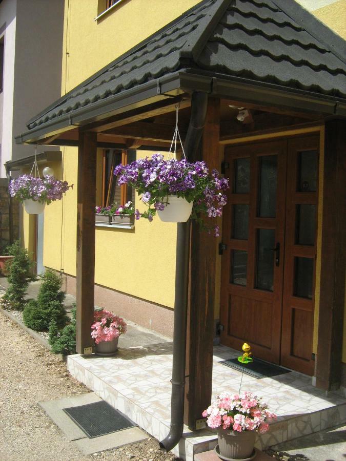 Guesthouse Mario Korenica Εξωτερικό φωτογραφία